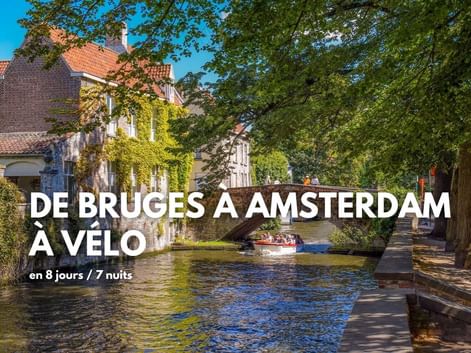 Canal pittoresque à Bruges avec bateaux, pont en pierre, chemin bordé d'arbres et bâtiments historiques aux façades couvertes de lierre.