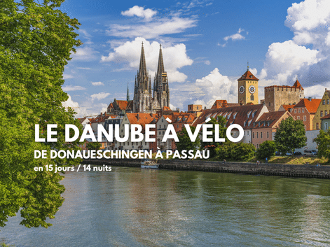 Paysage urbain historique le long du Danube avec flèches de cathédrale et tours médiévales sous ciel bleu avec nuages blancs.