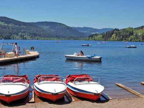 Rives du lac Titisee