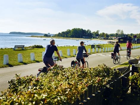 Cyclistes sur la côte danoise
