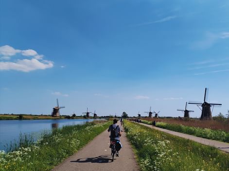 Cycliste sur chemin pavé entre canal et prairie fleurie avec rangée de moulins à vent hollandais traditionnels sous ciel bleu.