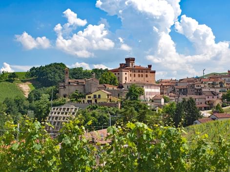 Vue de la ville et du vignoble de Barolo dans le Piémont