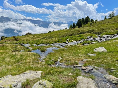 Sur la Via Claudia Augusta, alpage du Haideralm