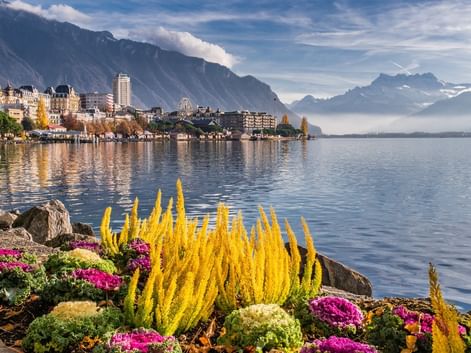 Vue du Lac Léman