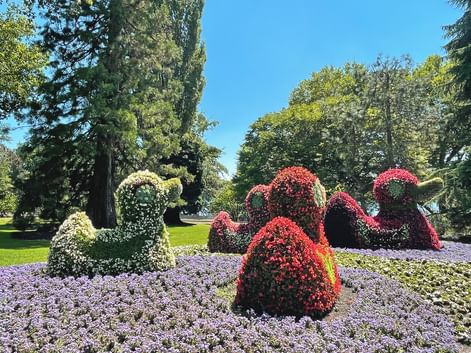 Île de Mainau