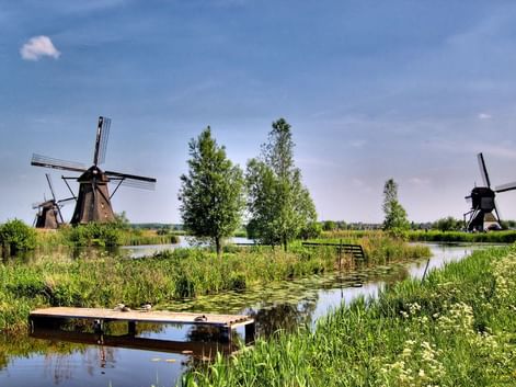 Kinderdijk