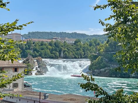 Chutes du Rhin