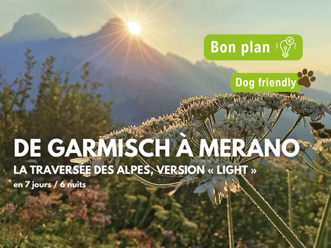 Paysage de montagne au lever du soleil avec des fleurs sauvages au premier plan. Superposition de texte montrant les détails du tour 'DE GARMISCH À MERANO'.