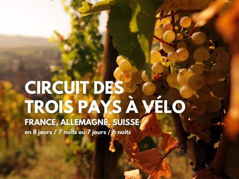 Vignoble alsacien