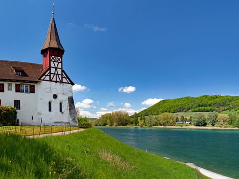 Rives du Lac de Constance