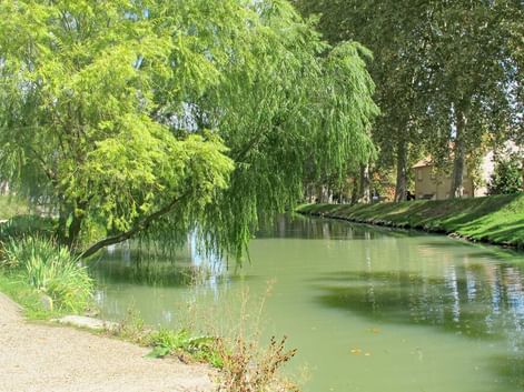 Le long du canal de la Garonne