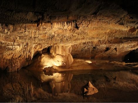 A l'intérieur des grottes de Lacave