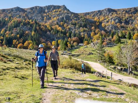 Randonneurs avec bâtons sur sentier de montagne dans les Hautes-Vosges. Sommets rocheux et forêt d'automne en arrière-plan sous ciel bleu.