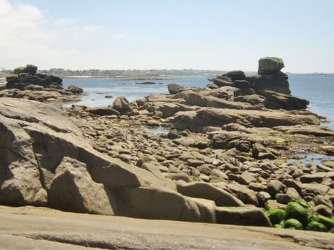 Rocher du Sphynx, entre Melon et Lanildut
