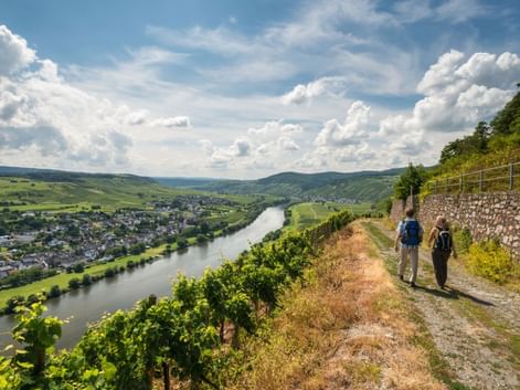 Sentier du Moselsteig