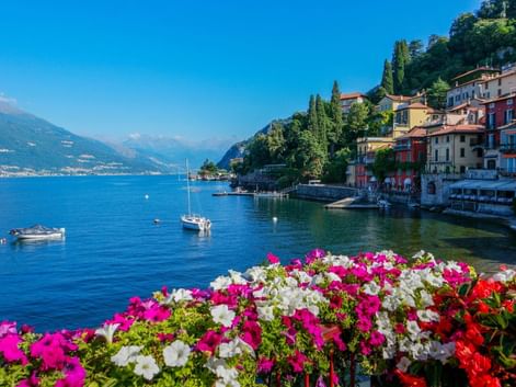 Fleurs roses, blanches et rouges encadrant le lac de Côme avec bateaux sur l'eau bleue, bâtiments colorés sur la colline et montagnes en arrière-plan.