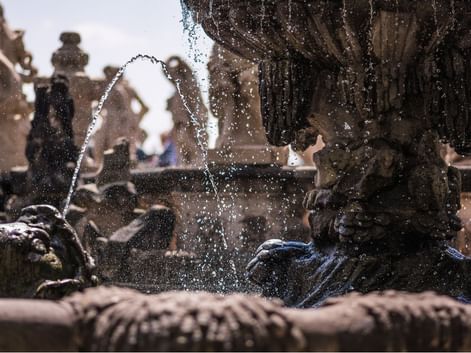 Détail d'une fontaine à Dresde