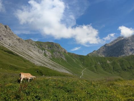 Liechtenstein