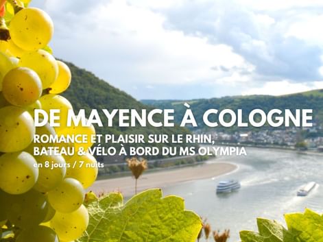Séjour en bateau et vélo sur le Rhin romantique entre Mayence et Cologne