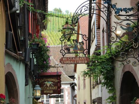 Rue étroite à Riquewihr avec maisons à colombages colorées, enseignes de restaurant en fer forgé et jardinières fleuries sur la Route des Vins d'Alsace.