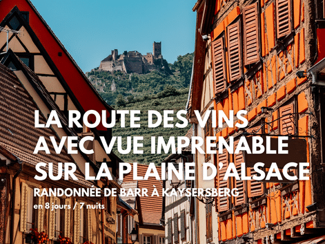 Maisons à colombages traditionnelles aux façades colorées bordent une rue pavée en Alsace, avec un château médiéval visible sur une colline.