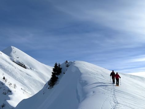Massif des Bauges en hiver
