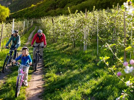 Le Sud Tyrol en vélo et en famille