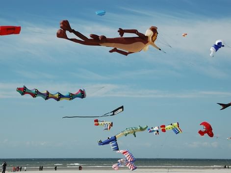 Plusieurs cerfs-volants décoratifs volant au-dessus d'une plage, dont un grand pélican, une chenille et d'autres motifs colorés.