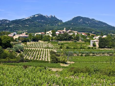 mont-ventoux-Vacqueyraene-village-vaucluse-cote-du-rohne-provence