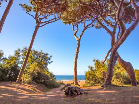 Plage à Baratti