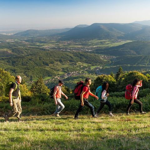 Groupe de randonneurs dans le Massif des Vosges