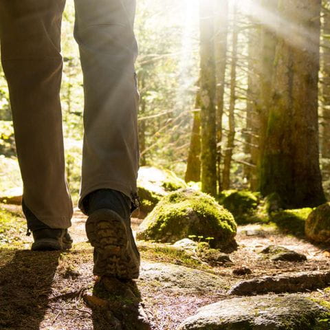 randonneur marchant au soleil couchant dans une forêt
