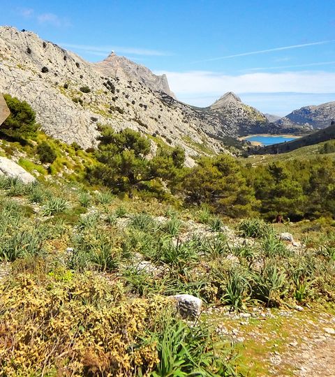 Balisage de randonnée à Majorque