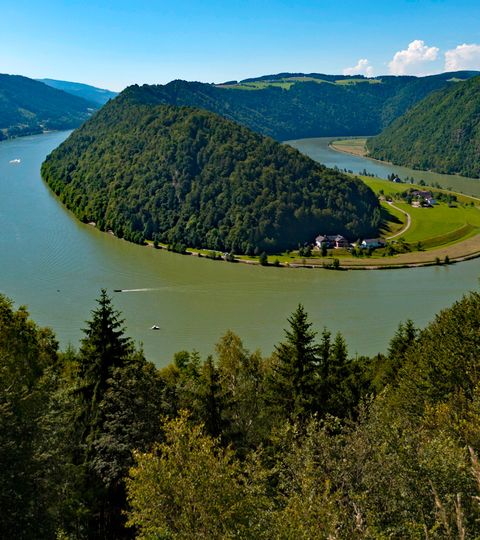 Méandre du Danube