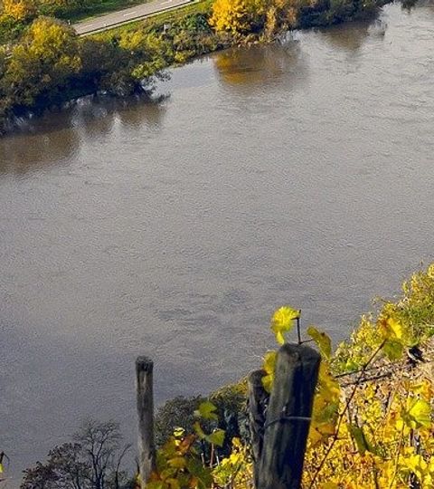 Vue plongeante sur la Moselle depuis le vignoble de Sarre en Allemagne 