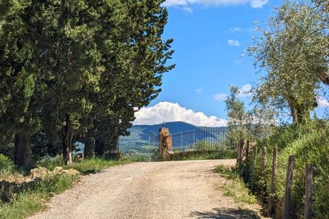 Domaine viticole dans les environs de Greve in Chianti