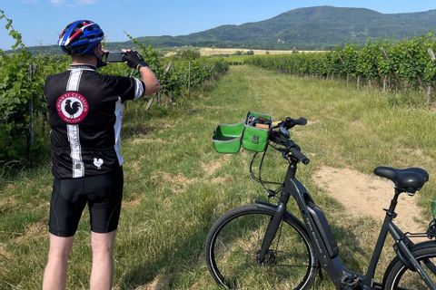 Cyclotouriste descendu de son vélo de location Espace Randonnée pour photographier le paysage sur la Route des Vins d'Alsace en été