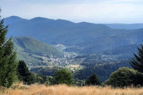 Vue d'une vallée vosgienne en Alsace