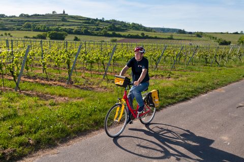 Cyclotouriste sur un chemin dans le Palatinat en Allemagne