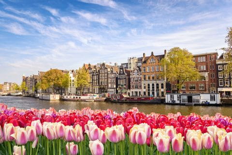 Vue pittoresque d'Amsterdam avec des tulipes au premier plan