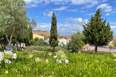 Vue d'un jardin verdoyant et fleuri à Vila Real au Portugal