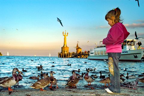 Petite fille observant les pigeons sur les rives du Lac à Constance