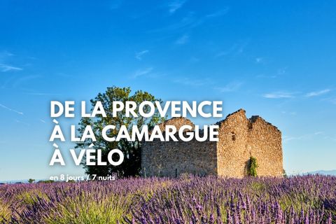 De la Provence à la Camargue en vélo, paysage typique de Provence