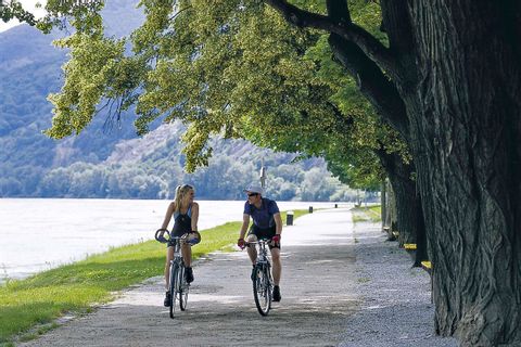 Cyclistes sur la piste cyclable du Danube