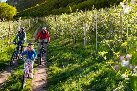 Le Sud Tyrol en vélo et en famille
