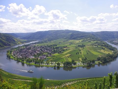 La Moselle à Trittenheim