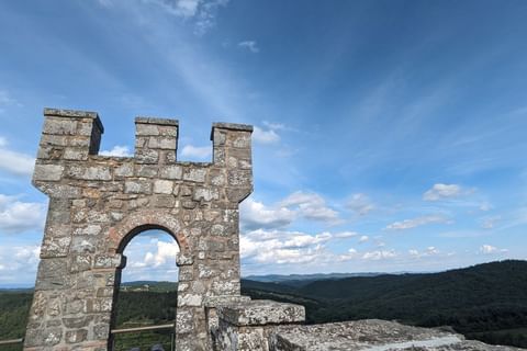Rocca di Castellina 