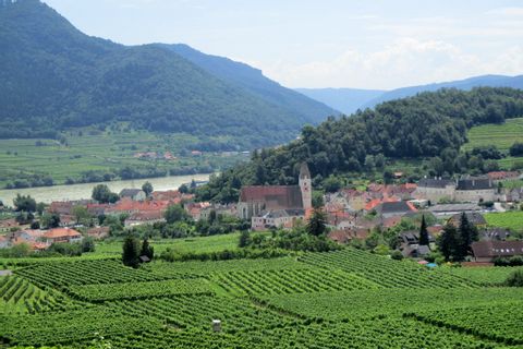 Vue du vignoble et de la ville de Spitz, en Autriche
