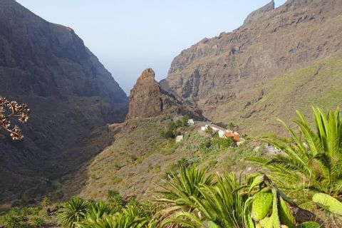 Gorges de Masca, Tenerife