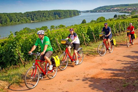 Groupe de cyclotouristes pédalent dans les vignes du Palatinat en Allemagne